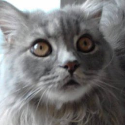 ���� ����, �����, 46 ��� - ��������� 19 ������� 2026