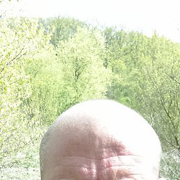 , 37 , 