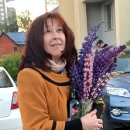 , 65, 