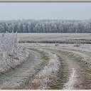 ���� ������, �����-���������, 59 ��� - ��������� 12 ������� 2025 � ������ ������ ��������