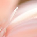 ���� ���������, ������������, 45 ��� - ��������� 27 ������� 2025 � ������ ���� ����������