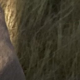 ���������, ����, 40 ���