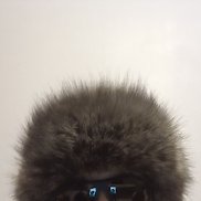 , 40 , -