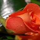 ���� �����, ���������, 59 ��� - ��������� 6 ��� 2024 � ������ ���� ����������