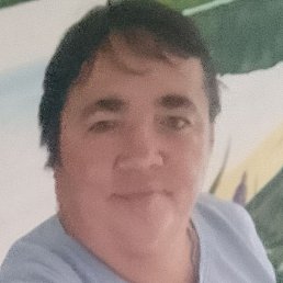 �������, �����, 53 ����