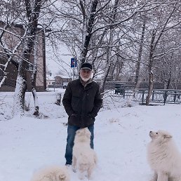 , 61, 