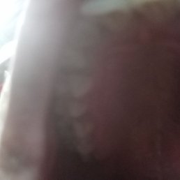 ��������, ������������, 32 ����