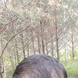  , 30,  