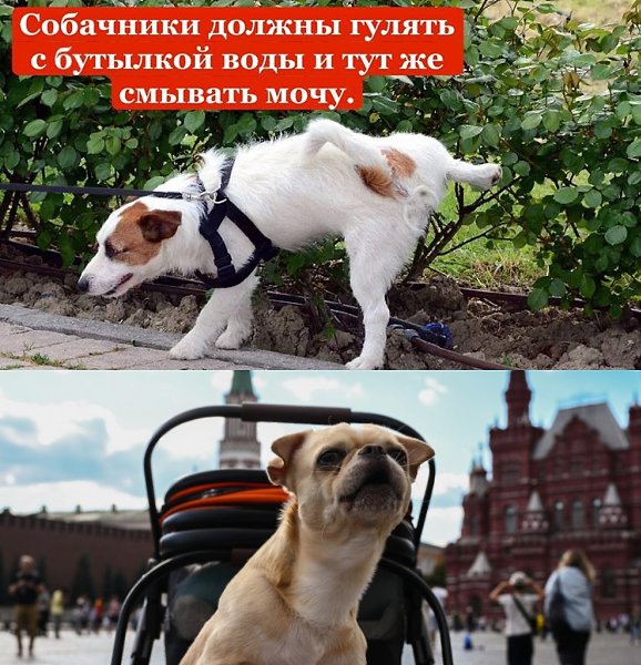 � ������ ����������� ������� �� ���������� ���� ������ � ������� � ������.���������� ������� �� ... - 2