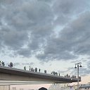 ���� �����, �����������, 42 ���� - ��������� 29 ���� 2024 � ������ ���� ����������