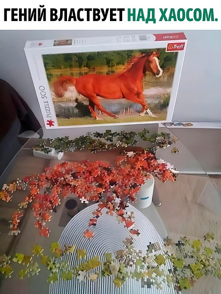 ��� ��� ����� ������ �����