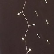 �������, 48 ���, �������