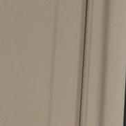 ���������, 39 ���, �����������