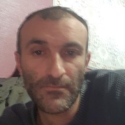 ����, �������, 37 ���