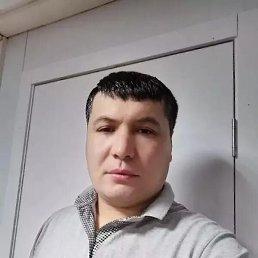 , 37, 