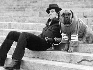    1971 ,     26     ,   ... ...