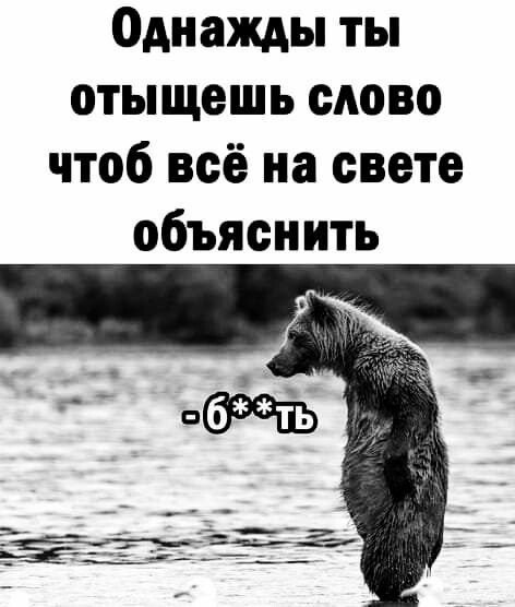 :))))))))))))))))))))))))) - 2