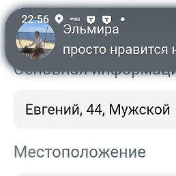 ����, ������, 45 ���