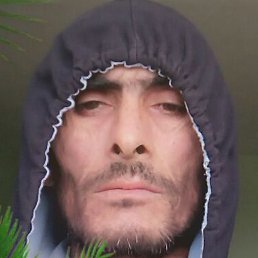 �����, ������, 41 ���