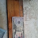 ���� ������, ���, 43 ���� - ��������� 17 ������� 2023 � ������ ���� ����������