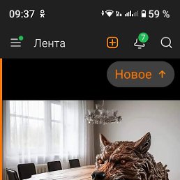 ���������, ��������, 44 ����