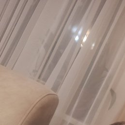 �������, �������, 43 ����