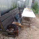 ���� �������, ������� �����, 40 ��� - ��������� 13 ��� 2025 � ������ ���� ����������