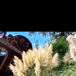 �������, �����, 70 ���