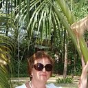  , -, 66  -  14  2024    