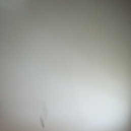 ���, ������, 35 ���