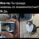 ���� ����, ��������� - ��������� 11 ������� 2026 � ������ ������ ��������
