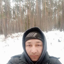 ���������, 41 ���, ����