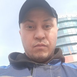 , 37, 