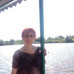 ���� �������, ������-��-����, 51 ��� - ��������� 20 ������ 2023