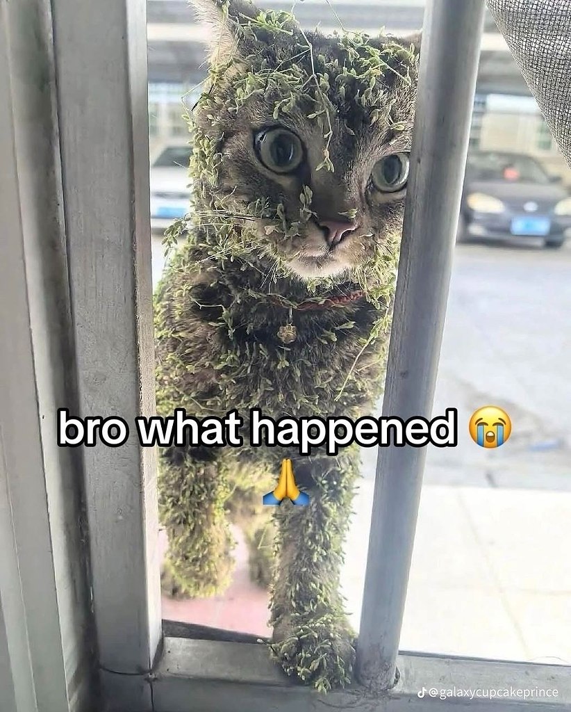 ���� �� ���� ��� ������ ��� �����