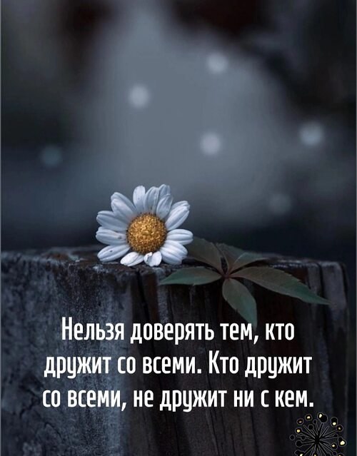   ! - 18  2025  15:38