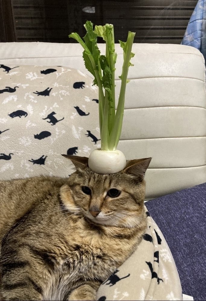 ���������� ������ ����������...