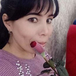 ���� ������, �����, 42 ���� - ��������� 22 ������ 2023