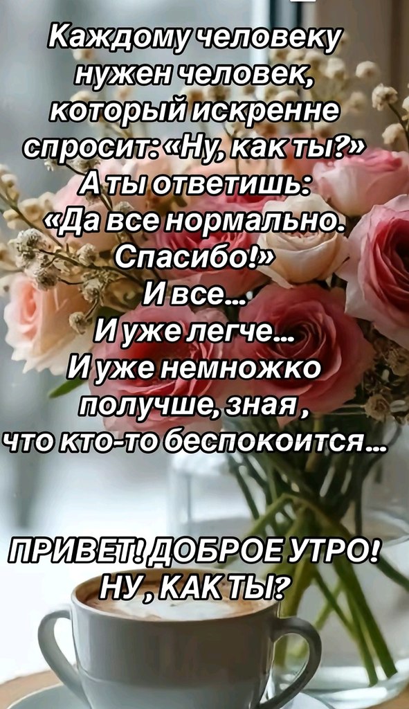 ��� ���� - 26 ����� 2026 � 09:44