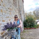 ���� ������, �������, 58 ��� - ��������� 8 ������ 2025 � ������ ���� ����������