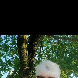 , 65, 