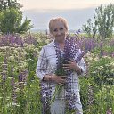 ���� ������, ������-���, 61 ��� - ��������� 16 ������ 2025 � ������ ���� ����������