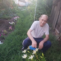 �����, ���, 70 ���