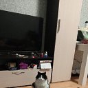 ���� ����������, �����, 27 ��� - ��������� 3 ��� 2025 � ������ ���� ����������