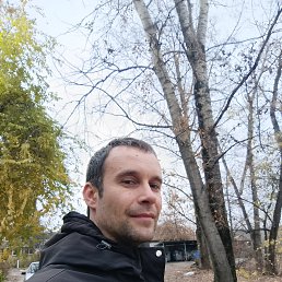 ������, 40 ���, ������������