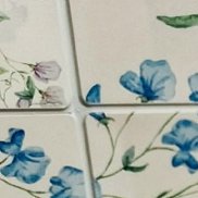 ��������, 66 ���, �����