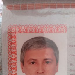 , 43 , 