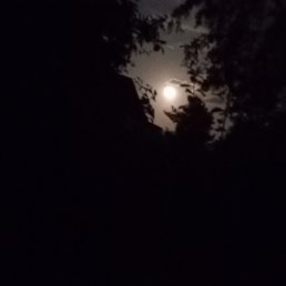 �����, ������, 60 ���