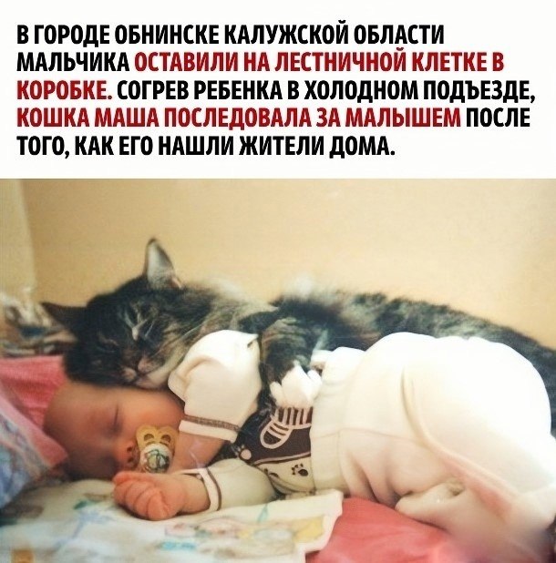       - 2