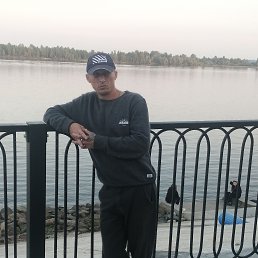  , 46 , 